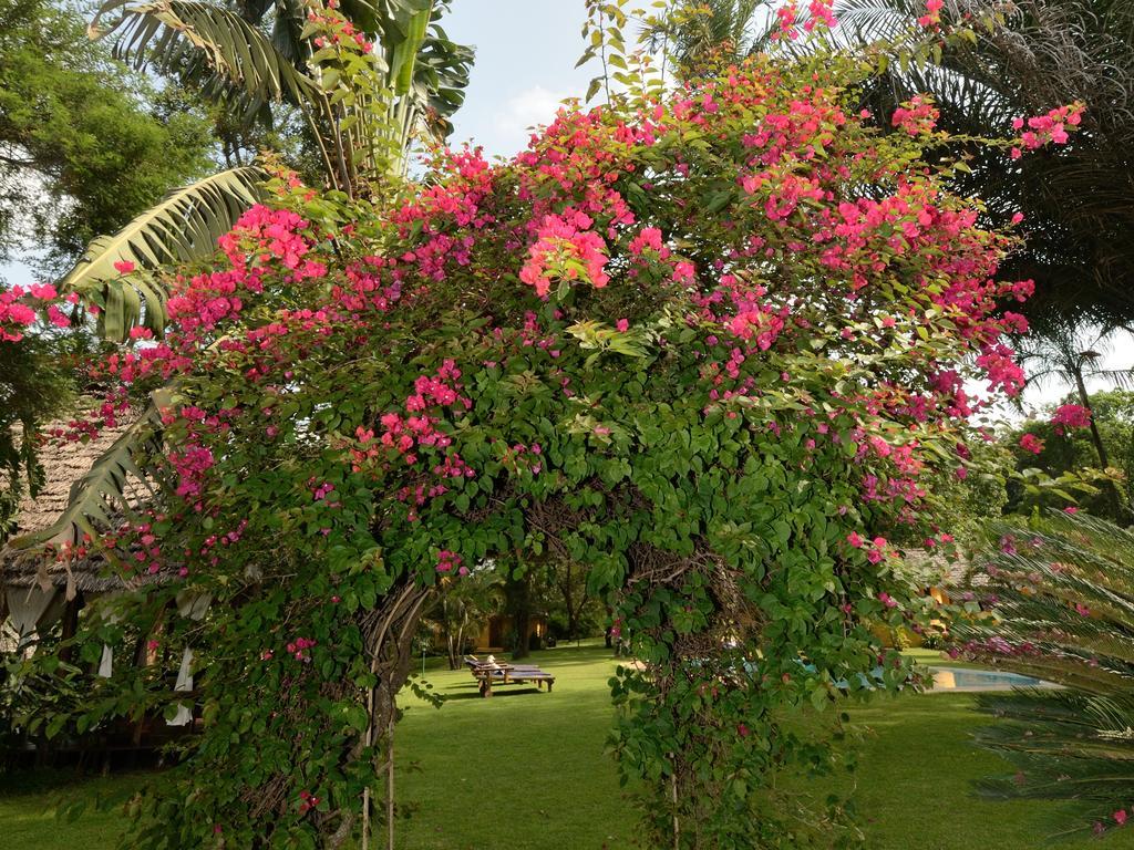 Arusha Safari Lodge Buitenkant foto